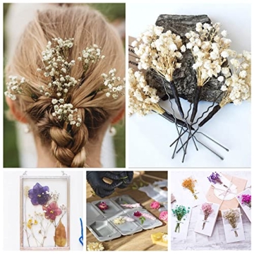 50Pcs Mini Dried Baby's Breath Flowers for Crafts