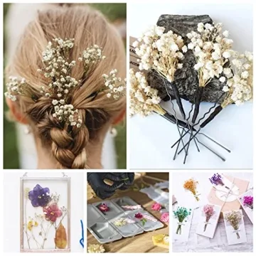 50Pcs Mini Dried Baby's Breath Flowers for Crafts
