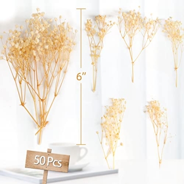 50Pcs Mini Dried Baby's Breath Flowers for Crafts