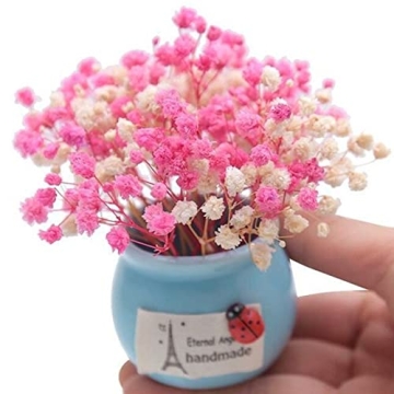 50Pcs Mini Dried Baby's Breath Flowers for Crafts