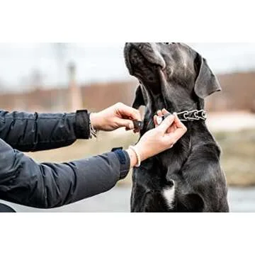 Herm Sprenger Dog Training Collar with Quick Release