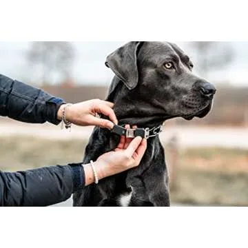 Herm Sprenger Dog Training Collar with Quick Release