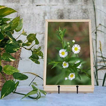 Ouskr Plate Holders: Stylish Sturdy Display Stands