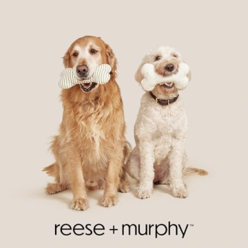 Reese+Murphy Green Striped Dog Toy for Medium & Large Dogs