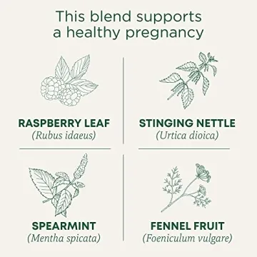 Organic Mother's Milk Tea - Boost Lactation Naturally - 96 Bags