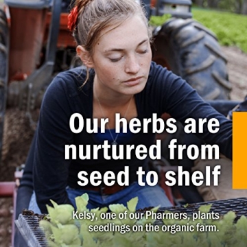 Herb Pharm Echinacea Root Extract Alcohol-Free Immune Support