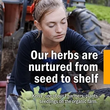 Herb Pharm Echinacea Root Extract Alcohol-Free Immune Support