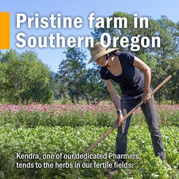 Herb Pharm Echinacea Root Extract Alcohol-Free Immune Support