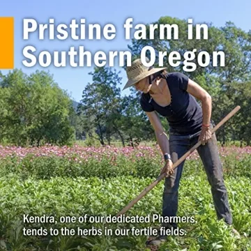 Herb Pharm Echinacea Root Extract Alcohol-Free Immune Support