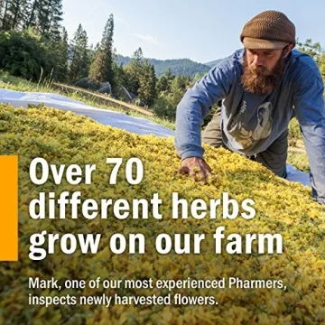 Herb Pharm Echinacea Root Extract Alcohol-Free Immune Support