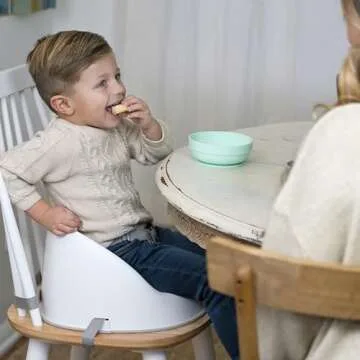 Ingenuity: ity by Ingenuity Simplicity Seat Easy-Clean Baby Booster Feeding Chair – Oat