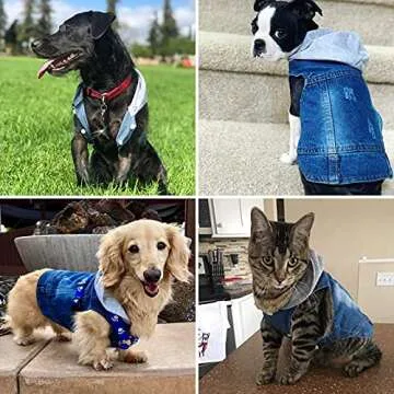 Stylish Denim Dog Hoodie for Small & Medium Dogs