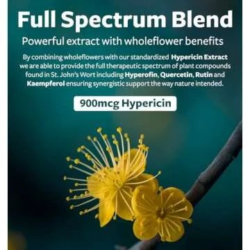 St. John's Wort - 120 Capsules (Non-GMO) Effective St Johns Wort Capsules - Powerful 900mcg Hypericin - Standardized Extract & Whole Herb Supplement - No Oil, Pills, Tea, Tincture - 500mg Per Capsule