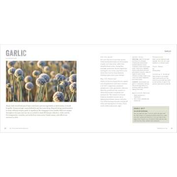 Do-It-Yourself Herbal Medicine: Home-Crafted Remedies for Health and Beauty