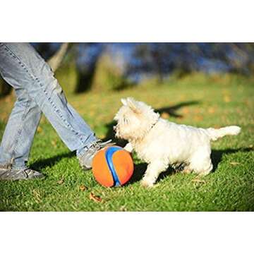 Chuckit! Kick Fetch Ball Dog Toy, Small (6 Inch)