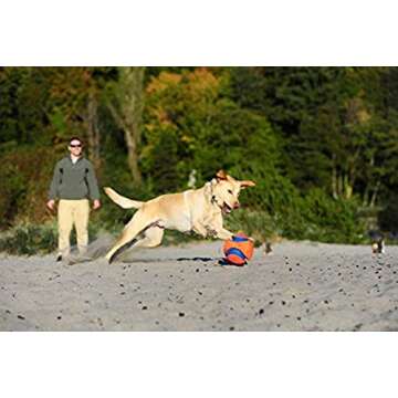 Chuckit! Kick Fetch Ball Dog Toy, Small (6 Inch)