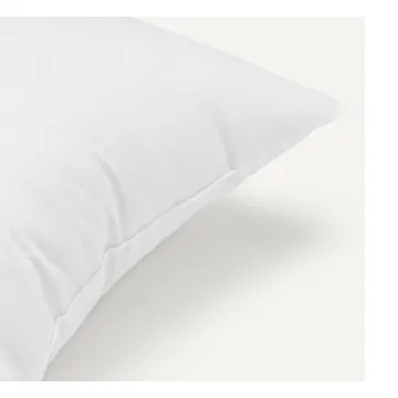 Amazon Basics Hypoallergenic Pillow Inserts, 20", 2 Pack