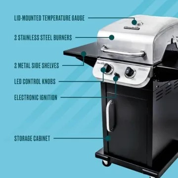 Char-Broil Performance 300 2-Burner Stainless Steel Grill