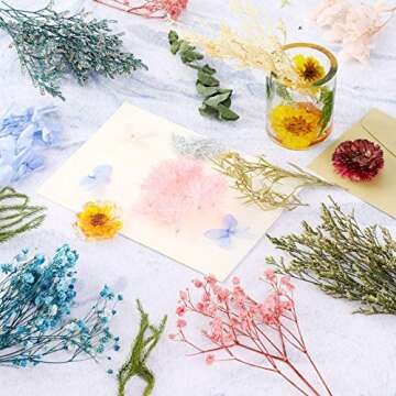 3 Packs Natural Dried Flowers Leaves Set, Dried Flowers for Resin Mold, Mixed Colorful Real Dry Flower for DIY Candle Jewelry Pendant Crafts Floral Decoration