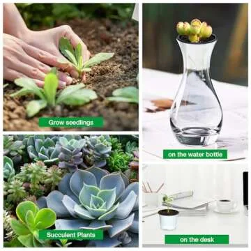 RooTrimmer Nursery Pots, 100 Pack 2.7 inch Plastic Plant Pots, Small Flower Pots for Succulents, Seedlings, Flowers, Transplanting（White）