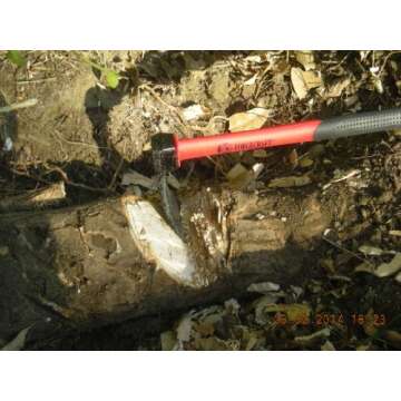 Forgecraft Forged Adze for Professional Gardening Use