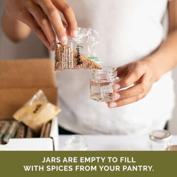 Gneiss Spice Magnetic Glass Jars: Stylish & Functional Spice Storage