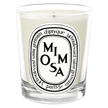 Diptyque Mimosa Candle-6.5 oz.,White,B0043TVXSC