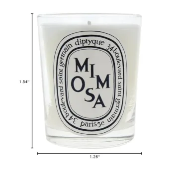Diptyque Mimosa Candle-6.5 oz.,White,B0043TVXSC