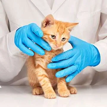 Basic Medical Blue Nitrile Exam Gloves - Ultimate Comfort & Protection