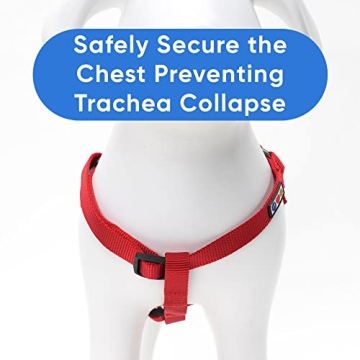 Pawtitas Step-in Dog Harness - Comfort for Puppies to Seniors