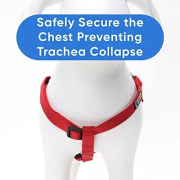 Pawtitas Step-in Dog Harness - Comfort for Puppies to Seniors