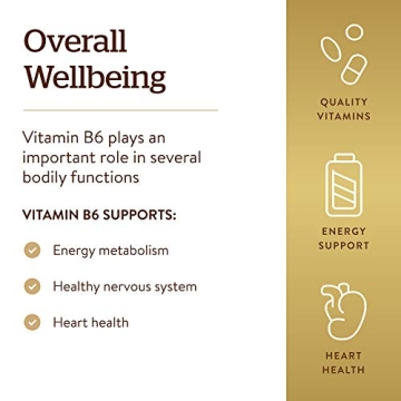 Solgar Vitamin B6 25 mg - Energy & Heart Health Support