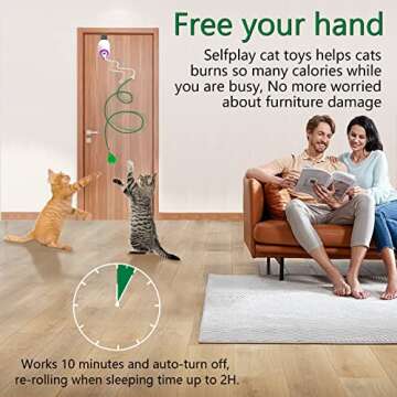 Oxawo Cat Toys Hanging Door Automatic Cat Toy Interactive Elastic Rope with Feather, Cat Catching Game Door Hanger (Hanging cat Toy)