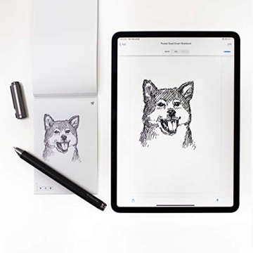 Livescribe Symphony Smartpen - Digital Note-Taking Revolution