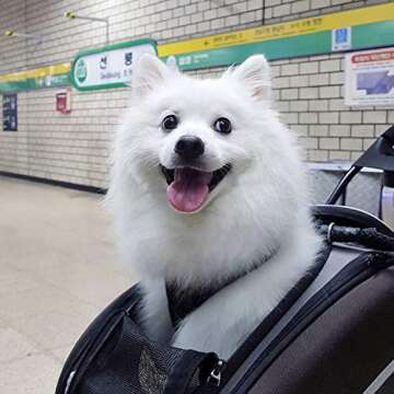 ibiyaya - Compact 5-in-1 Convertible and Foldable Small Pet Carrier and Stroller - Multifunctional C...