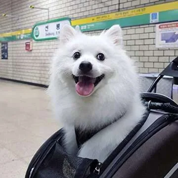 ibiyaya - Compact 5-in-1 Convertible and Foldable Small Pet Carrier and Stroller - Multifunctional C...