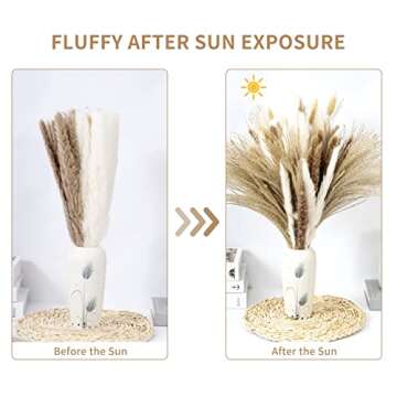 75 PCS Natural Pampas Grass Decor, Boho Flowers Home Table Decor, Bunny Tails Dried Flowers, Dried P...