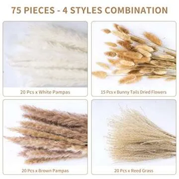Natural Pampas Grass Set for Stylish Home Decor