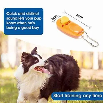 BAAPET Long Dog Training Leash for All Dogs and Cats