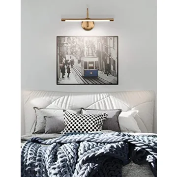 Enhance Artwork with JOOSENLUX Brass Picture Light 16.54 Inch