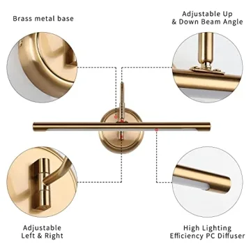 Enhance Artwork with JOOSENLUX Brass Picture Light 16.54 Inch