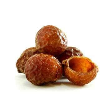 Eco Nuts USDA Organic Laundry Detergent, 20.5 Ounces for 360 Loads