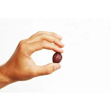 Eco Nuts USDA Organic Laundry Detergent, 20.5 Ounces for 360 Loads