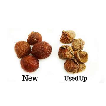 Eco Nuts USDA Organic Laundry Detergent, 20.5 Ounces for 360 Loads