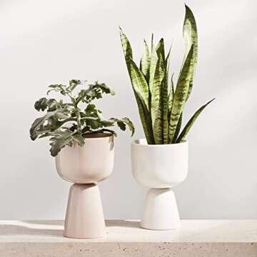 Iittala Flower Pot: Elegant Ceramic Design for Home