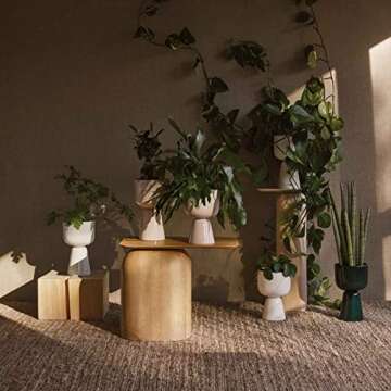 Iittala Flower Pot: Elegant Ceramic Design for Home