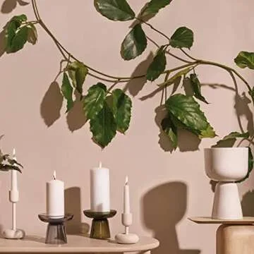 Iittala Flower Pot: Elegant Ceramic Design for Home