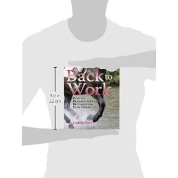 Back to Work: A Comprehensive Guide for Horse Rehabilitation