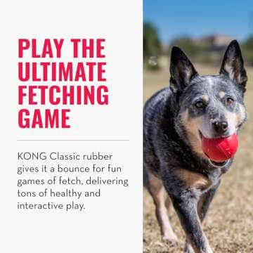 KONG Ball with Hole - Dog Fetch Toy - Durable Dog Ball Toy for Training, Interactive Playtime & More - Natural KONG Classic Rubber Ball for Dogs - Red, For Large/Medium Dogs