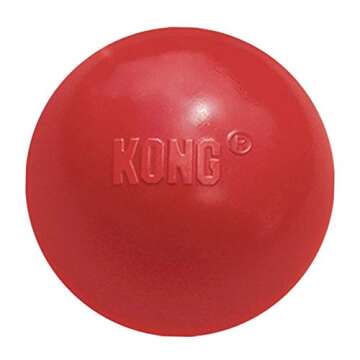 KONG Ball with Hole - Dog Fetch Toy - Durable Dog Ball Toy for Training, Interactive Playtime & More - Natural KONG Classic Rubber Ball for Dogs - Red, For Large/Medium Dogs